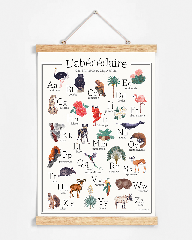 Affiche sur Porte Affiche Alphabet Animal - Chambre d'Enfant - Lettres  d'Apprentissage